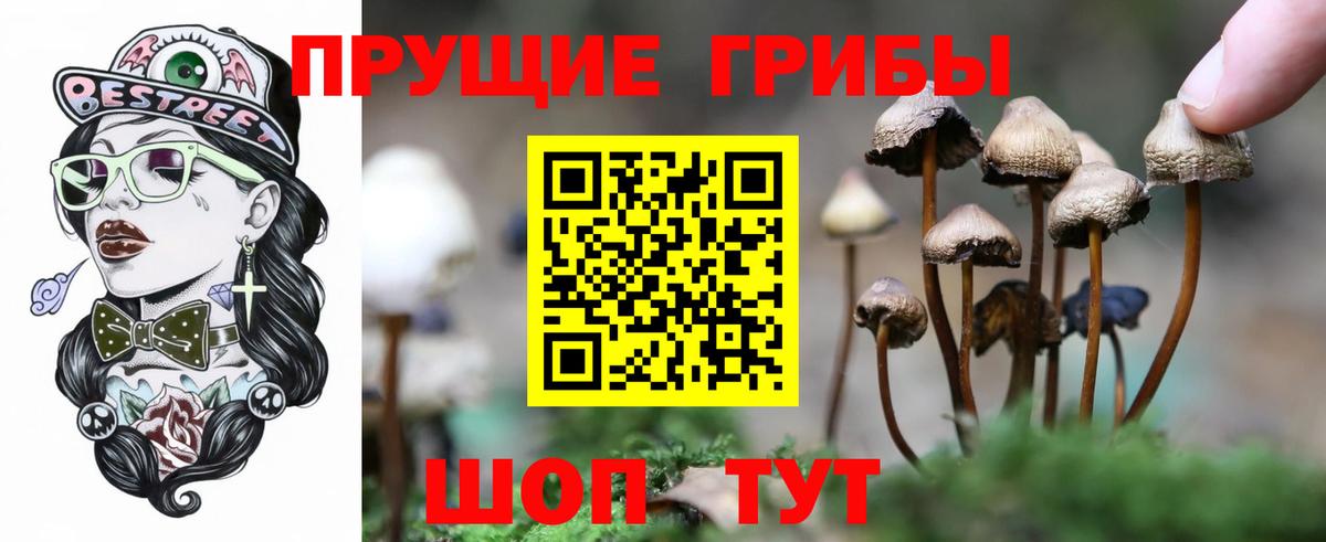 магазин    Псилоцибиновые грибы Magic Shrooms  Вход с VPN  Гай 